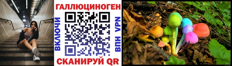 Псилоцибиновые грибы прущие грибы  где купить наркотик  Заозёрск 